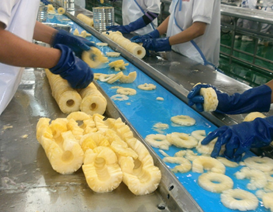 Băng tải thực phẩm châu âu, băng tải habasit, pvc, pu, tpu