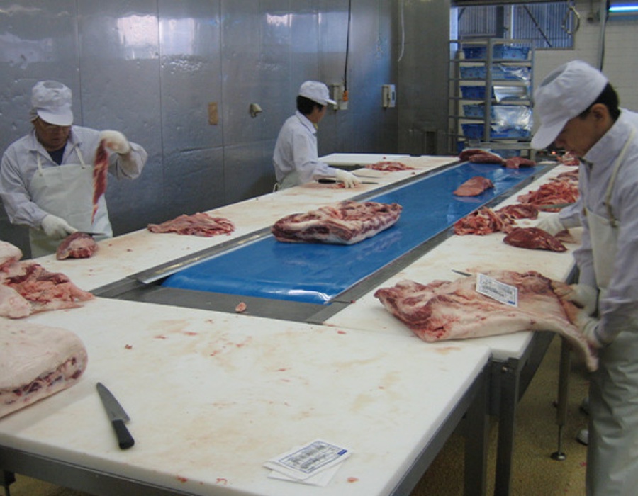 Băng tải thực phẩm châu âu, băng tải habasit, pvc, pu, tpu