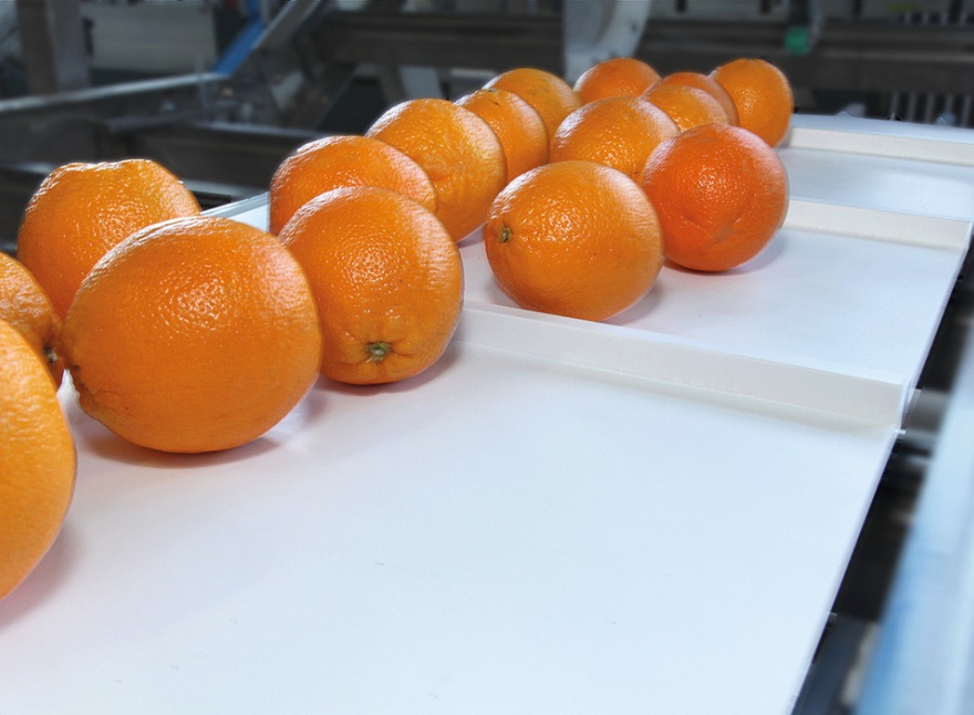 Băng tải thực phẩm, băng tải habasit, pvc, pu, tpu