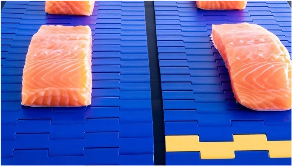 Habasit, băng tải habasit, đại lý băng tải habasit tại tphcm